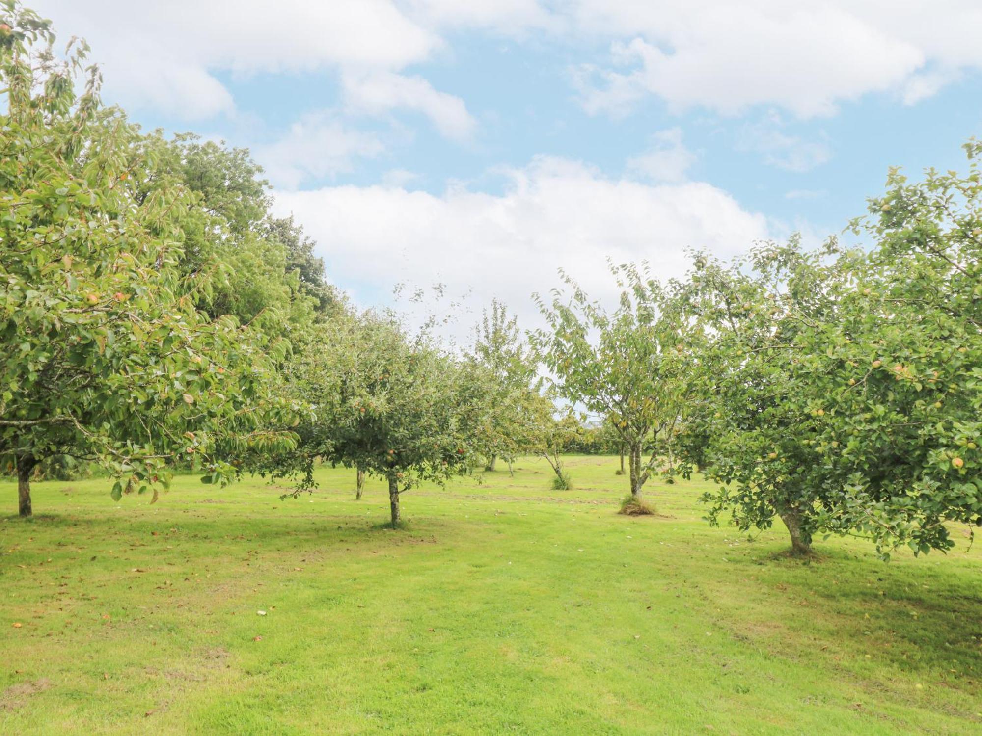 South Boduel Farmhouse Liskeard Luaran gambar